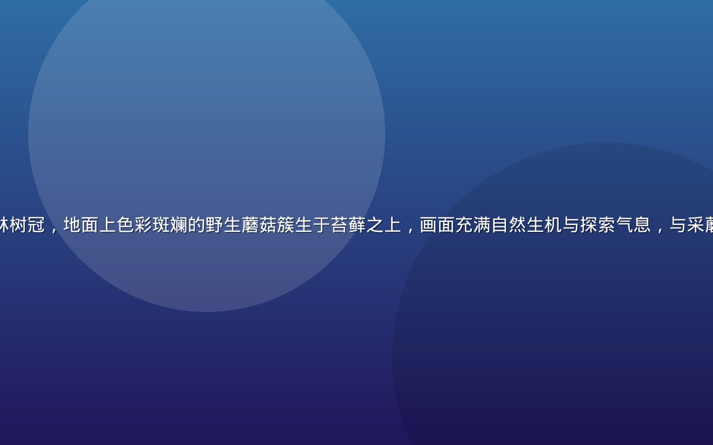 清晨阳光穿透茂密森林树冠，地面上色彩斑斓的野生蘑菇簇生于苔藓之上，画面充满自然生机与探索气息，与采蘑菇社区主题高度契合